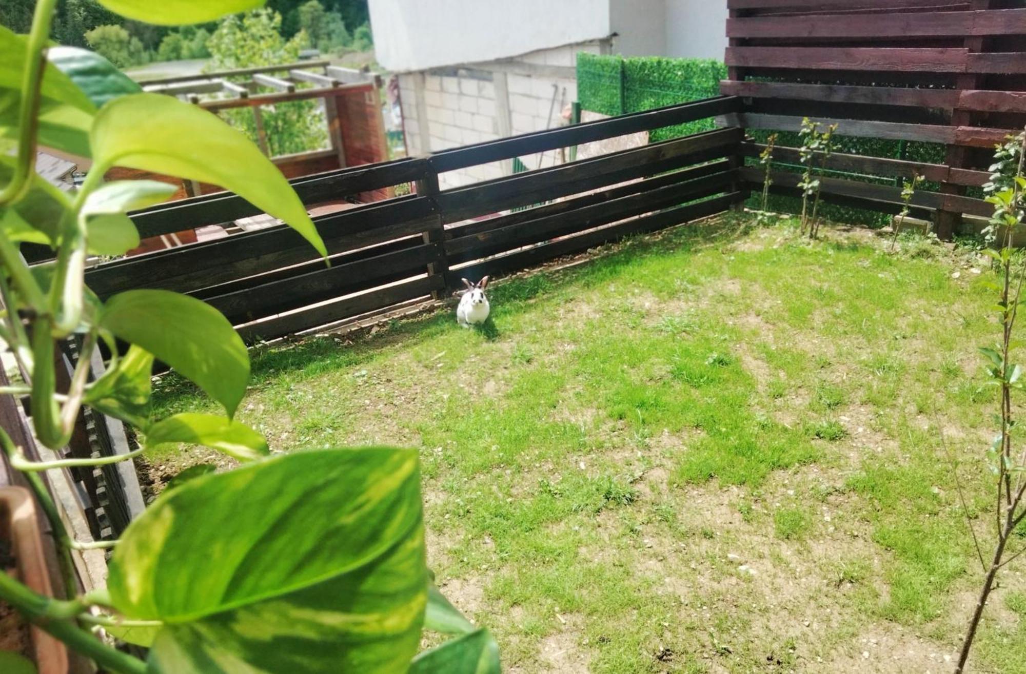 Doi Iepuri Apartamento Azuga Exterior foto